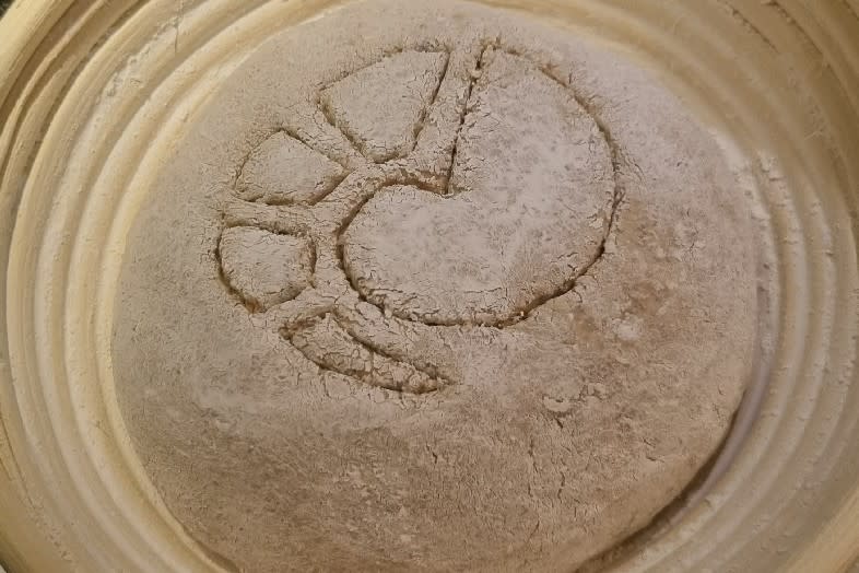 Bredit